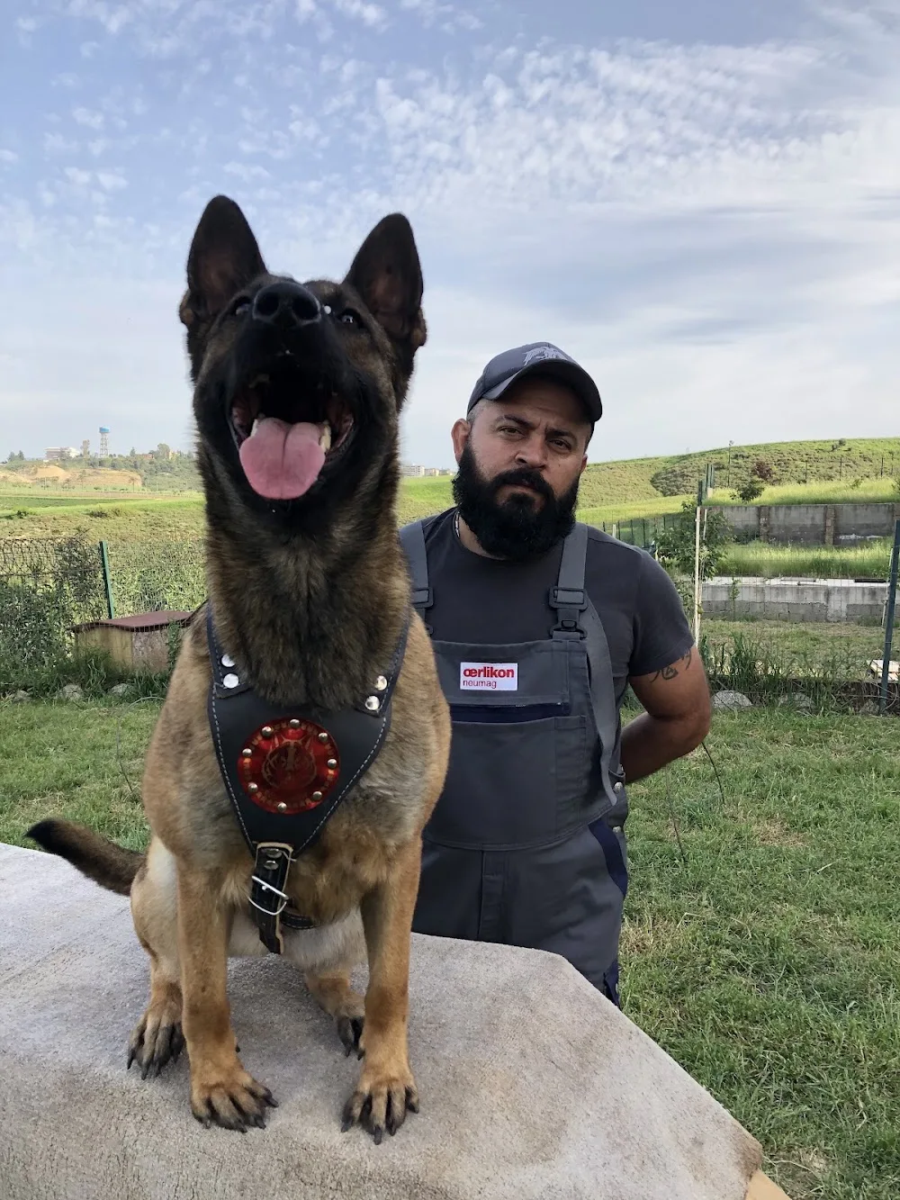 RODİ KÖPEK EĞİTİM MERKEZİ & KÖPEK OTELİ - Adana pet otel görseli 3