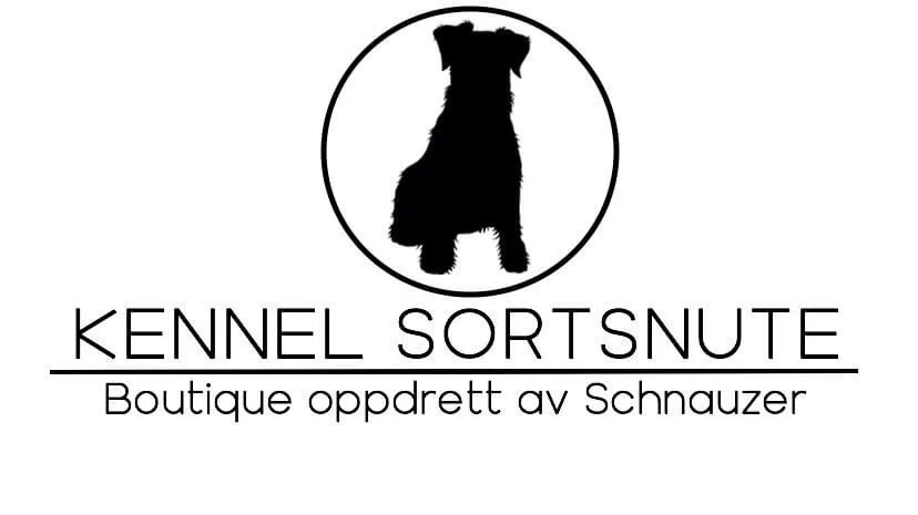 Kennel Sortsnute - Rogaland pet otel