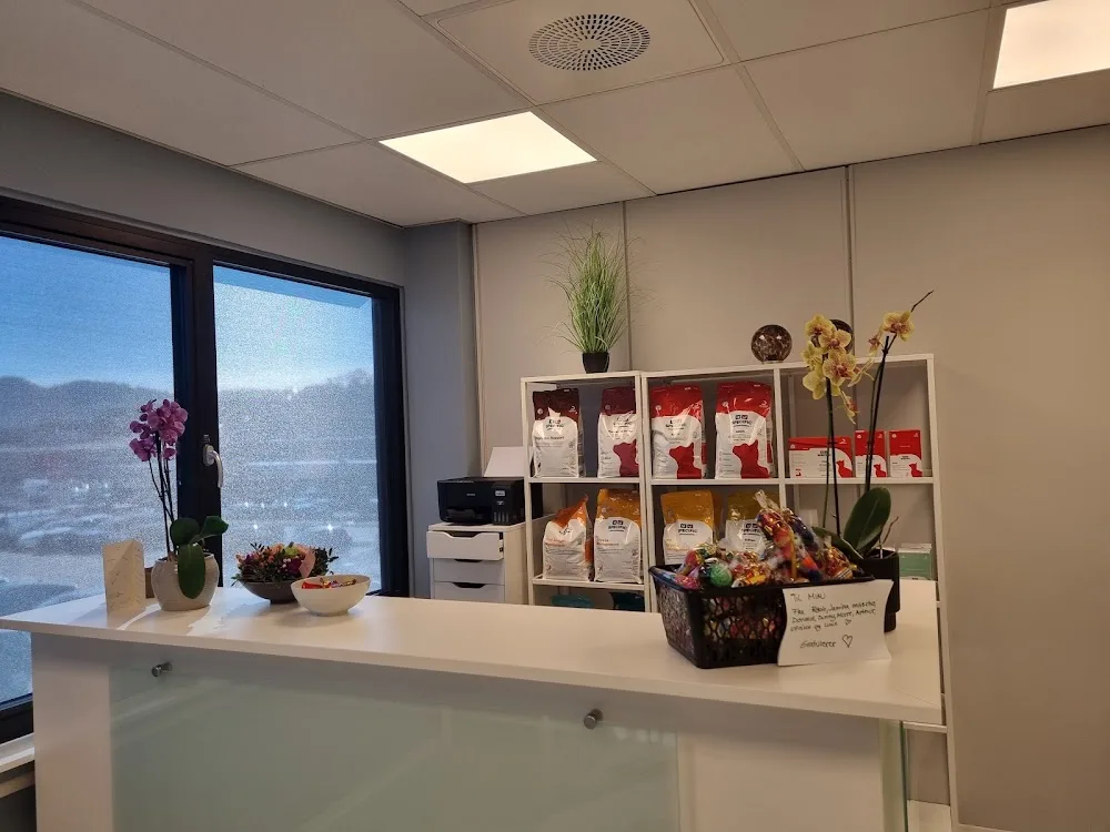 Miau katteklinikk og kattehotell AS - Rogaland pet otel görseli 3