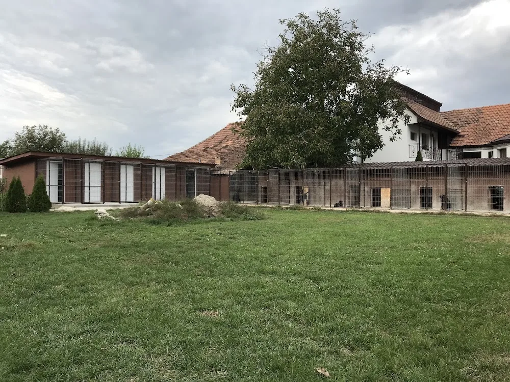 Blackrosesrot Kennel - Romania pet otel görseli 2