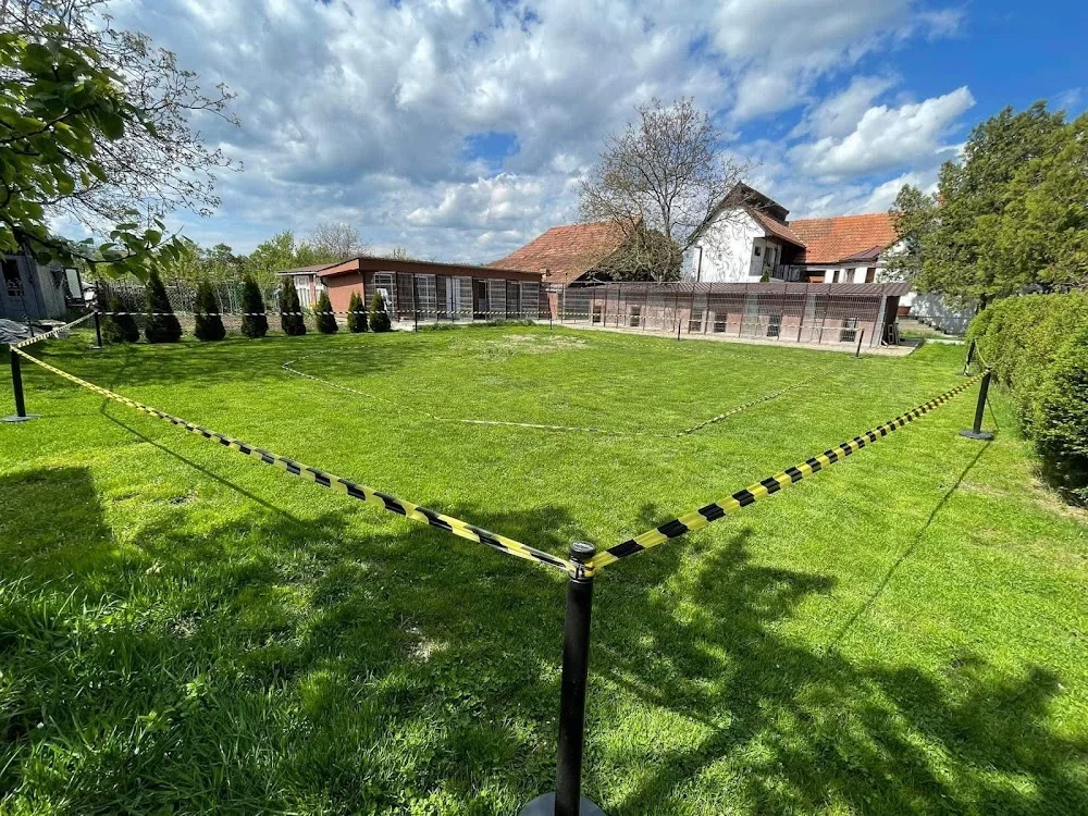 Blackrosesrot Kennel - Romania pet otel görseli 3
