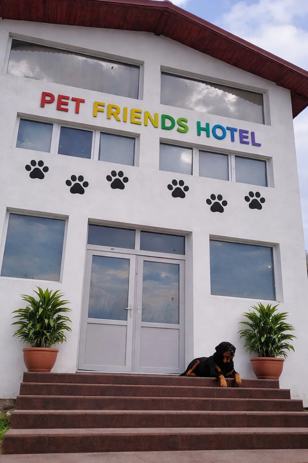 Pet Friends Hotel - Romania pet otel görseli 3