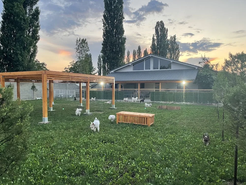 Pethotel - Hotel Canin - Romania pet otel görseli 3