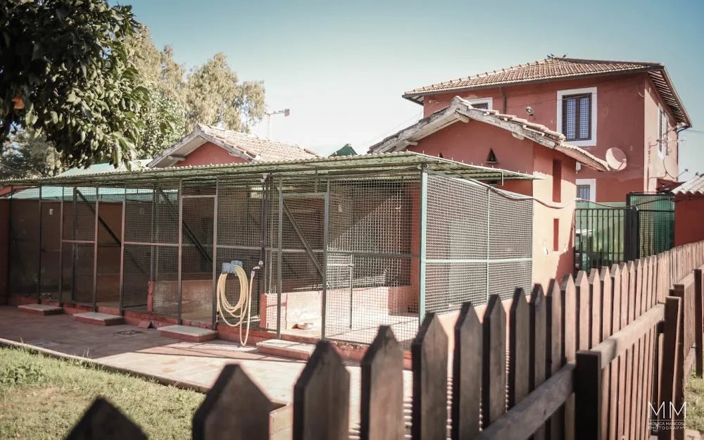 Centro Sanitario Cinofilo - Dimmelord - Rome pet otel
