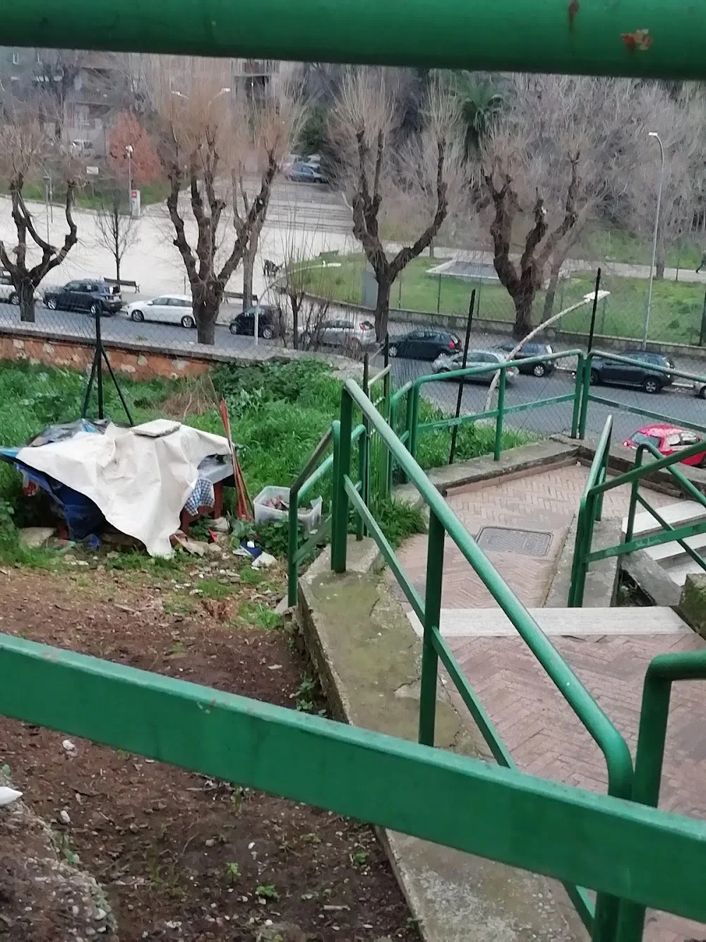 Colonia Felina - Rome pet otel görseli 3