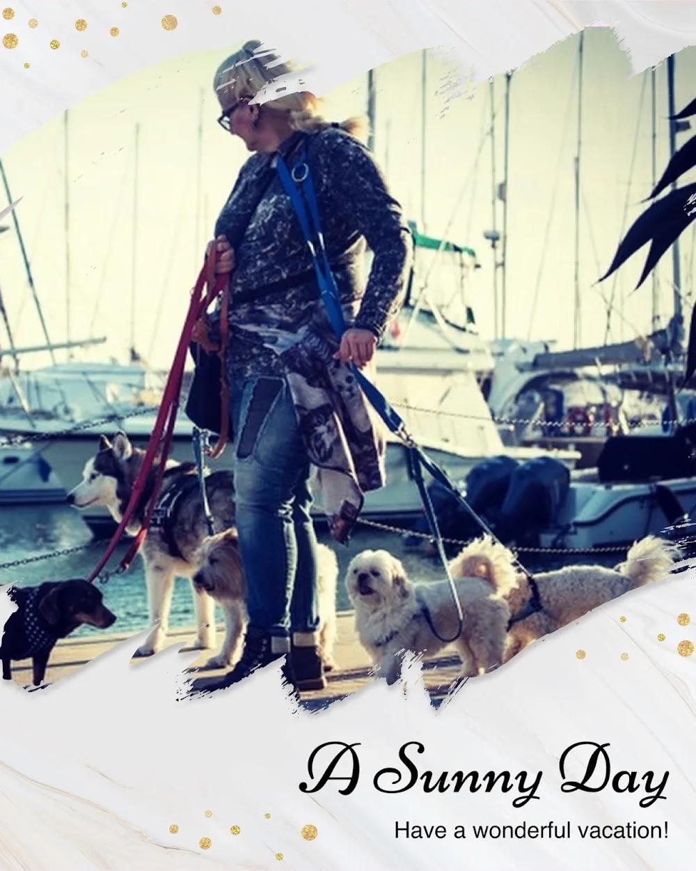 EDUCATORE CINOFILO, PENSIONE CANI, PETSITTER: DOG TRAINER & DOG HOUSE ROMA - Rome pet otel