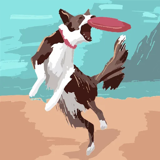 EDUCATORE CINOFILO, PENSIONE CANI, PETSITTER: DOG TRAINER & DOG HOUSE ROMA - Rome pet otel görseli 4