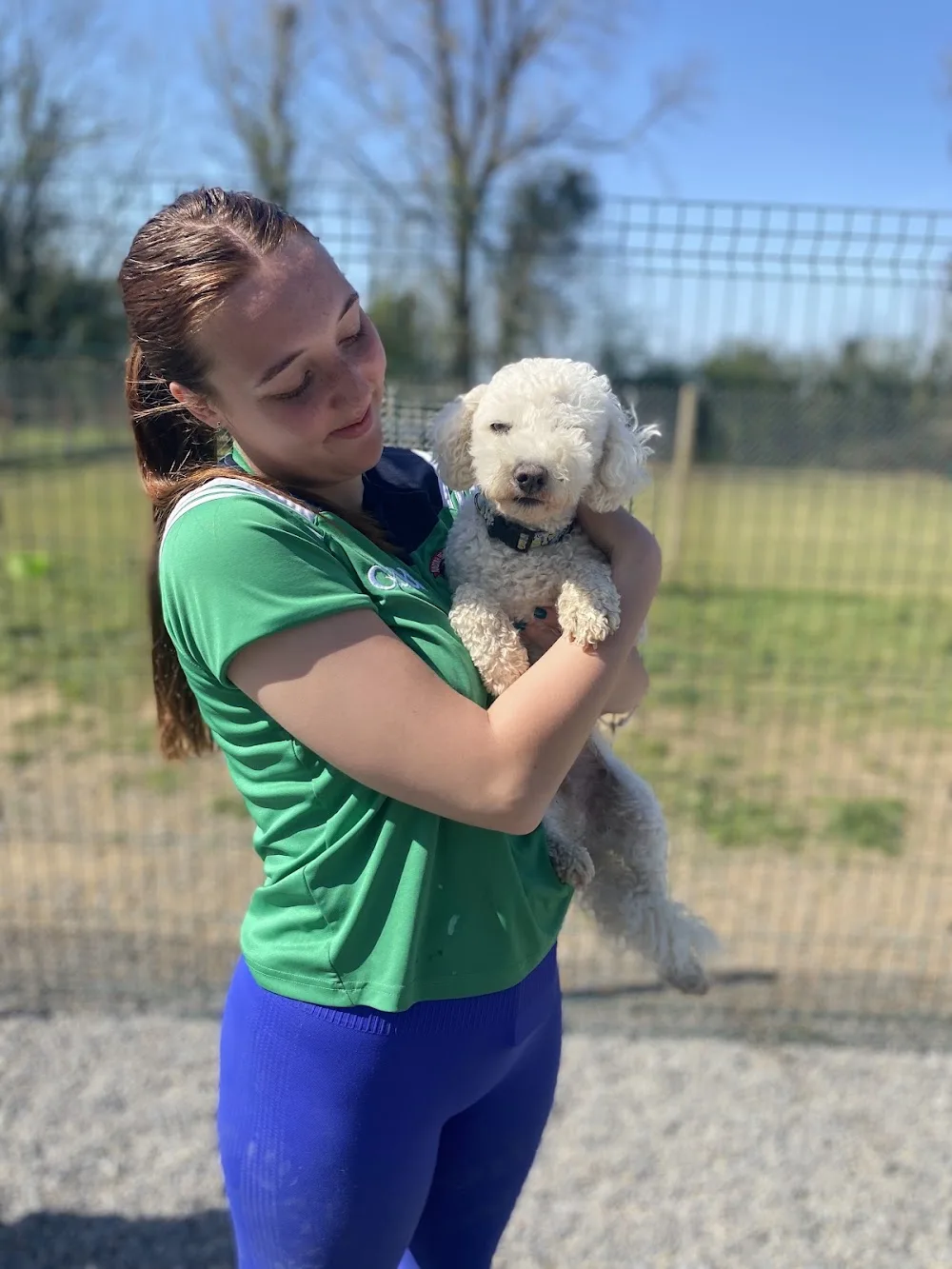 Lola’s Boarding Kennels - Roscommon pet otel görseli 3
