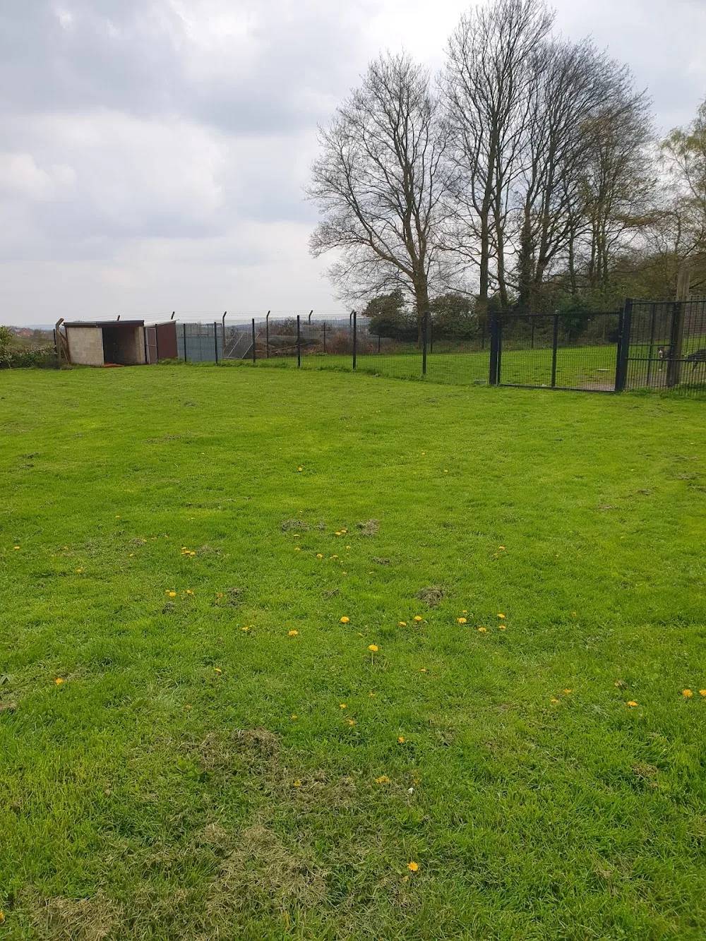 Hesley Wood Kennels - Rotherham pet otel görseli 3