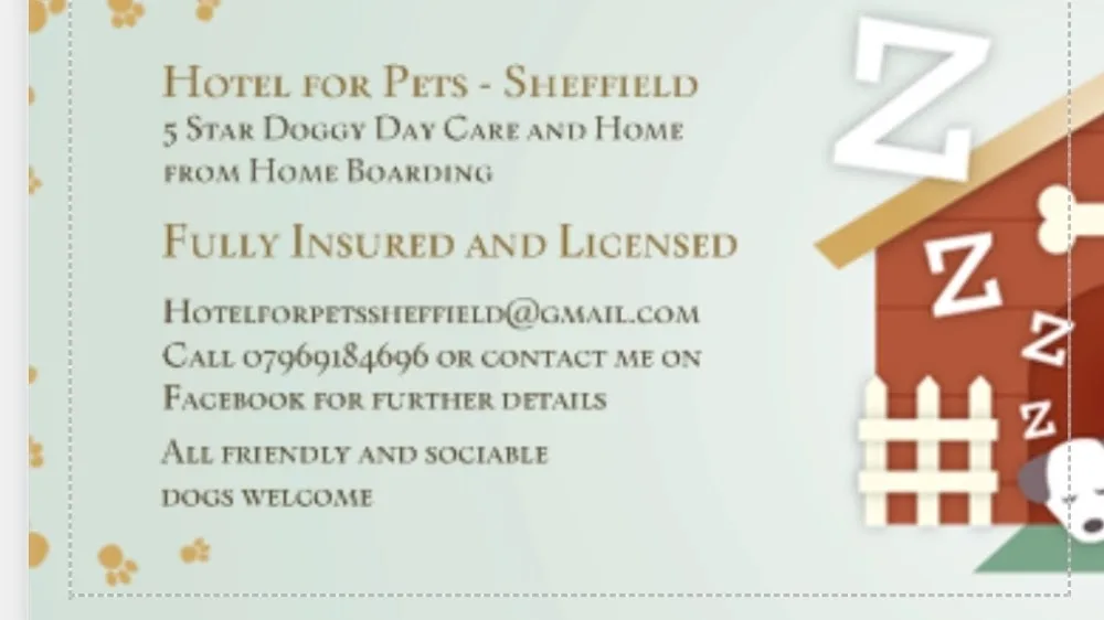 Hotel for Pets (5 Star Home Dog Boarding & Day Care) - Rotherham pet otel