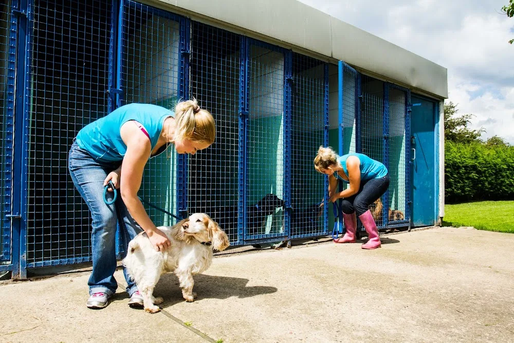 Jaycliffe Kennels & Cattery - Rotherham pet otel görseli 3