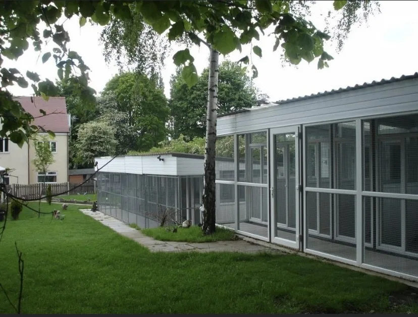 Jumble Cattery - Rotherham pet otel