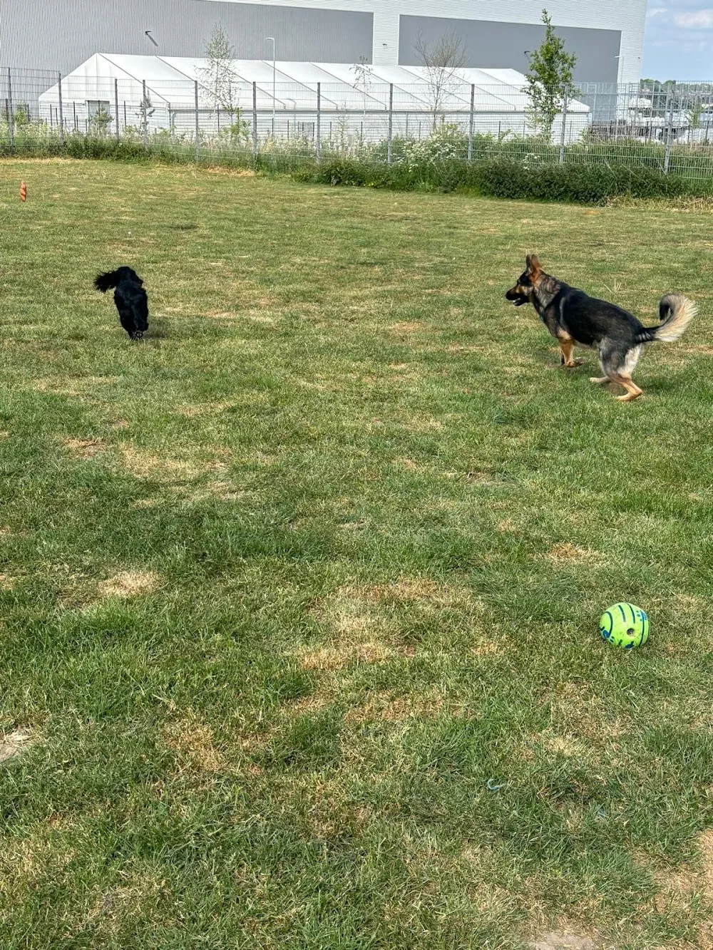 Sandy Lane Kennels And Cattery - Rotherham pet otel görseli 2