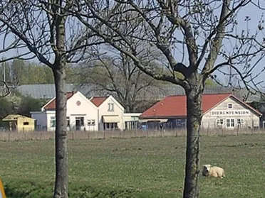 Dierenpension Hendrik Ido Ambacht - Rotterdam pet otel
