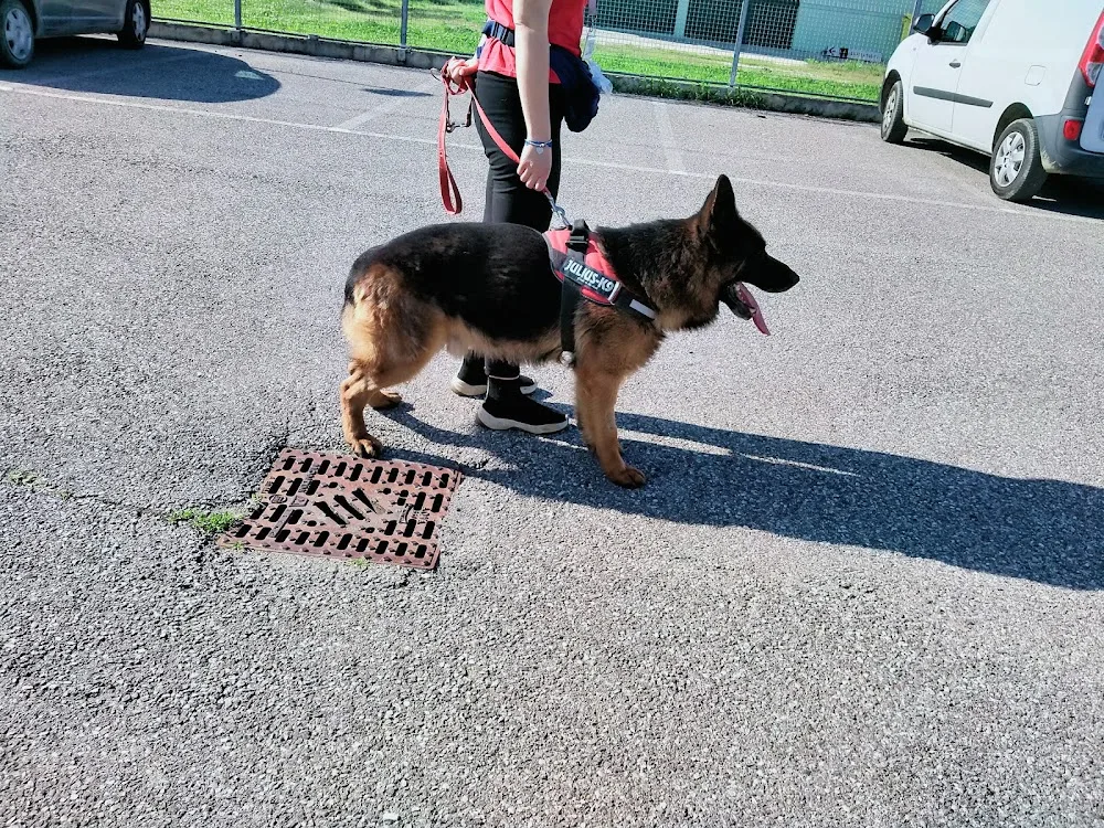 Canile Sanitario AULSS 5 - Rovigo pet otel