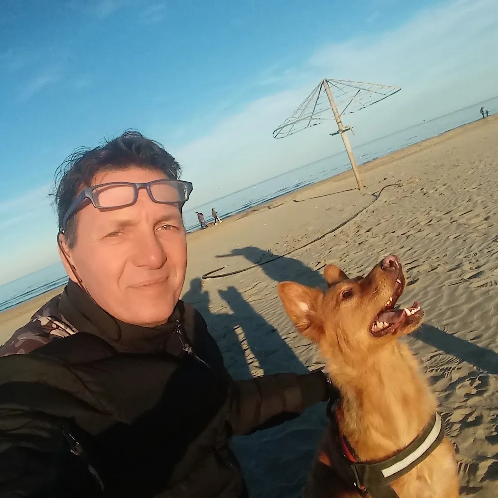 Pensione per Cani La Vangadizza - Rovigo pet otel görseli 6