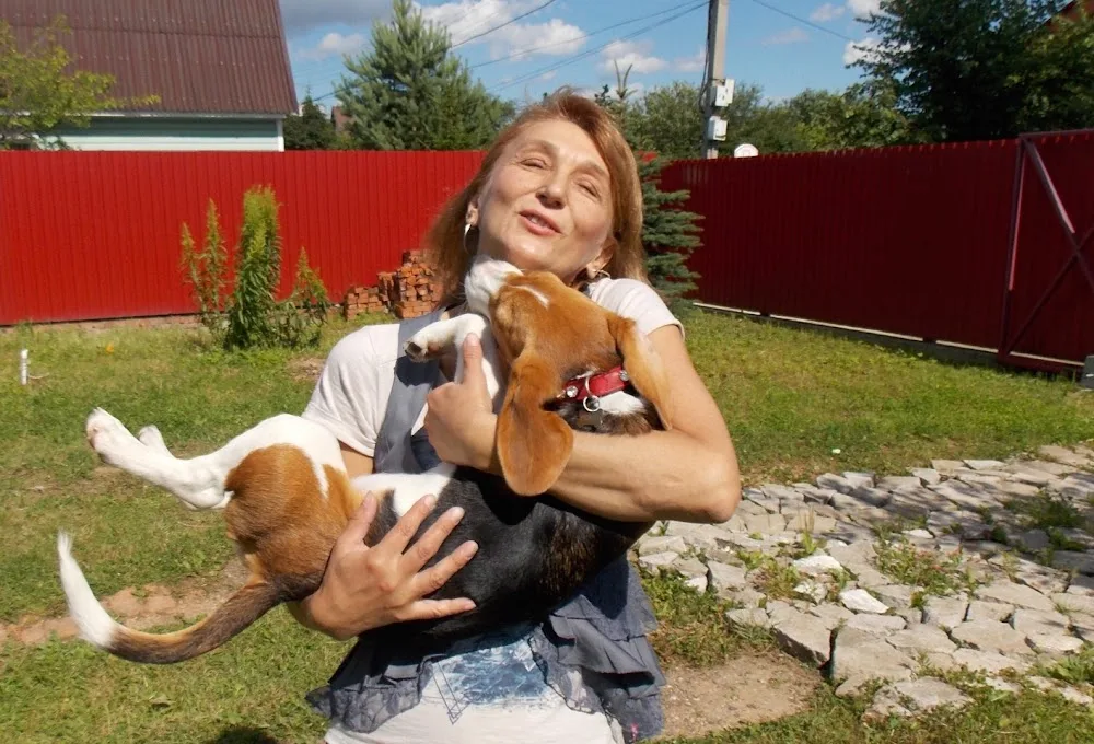 Зоогостиница Village cat & dog, - Russia pet otel görseli 3