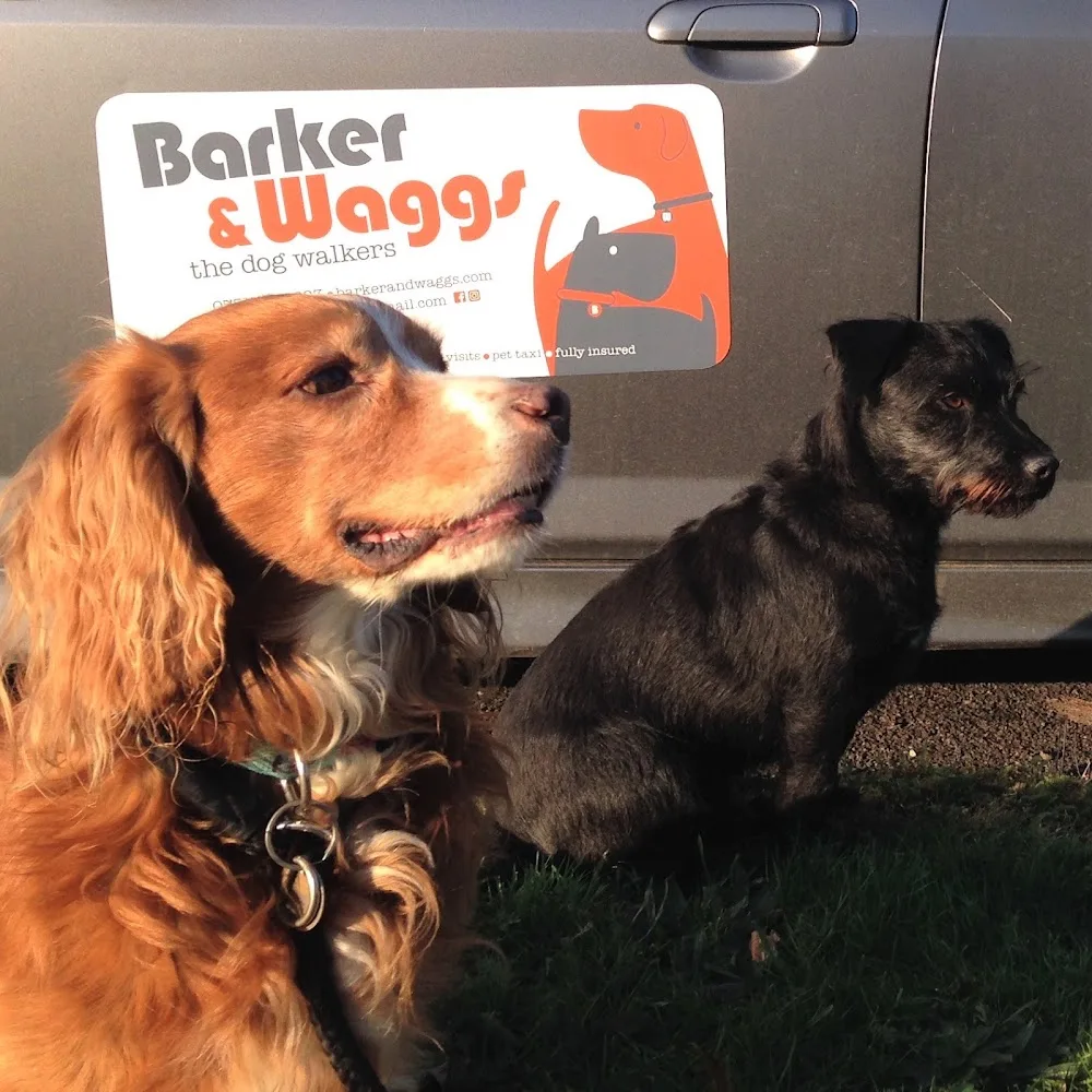 Barker & Waggs - Rutland pet otel