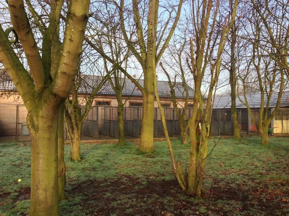 Murrayhill Kennels - Rutland pet otel