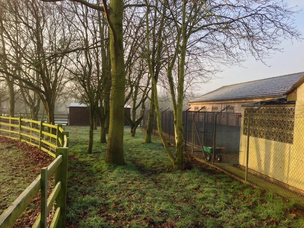 Murrayhill Kennels - Rutland pet otel görseli 3