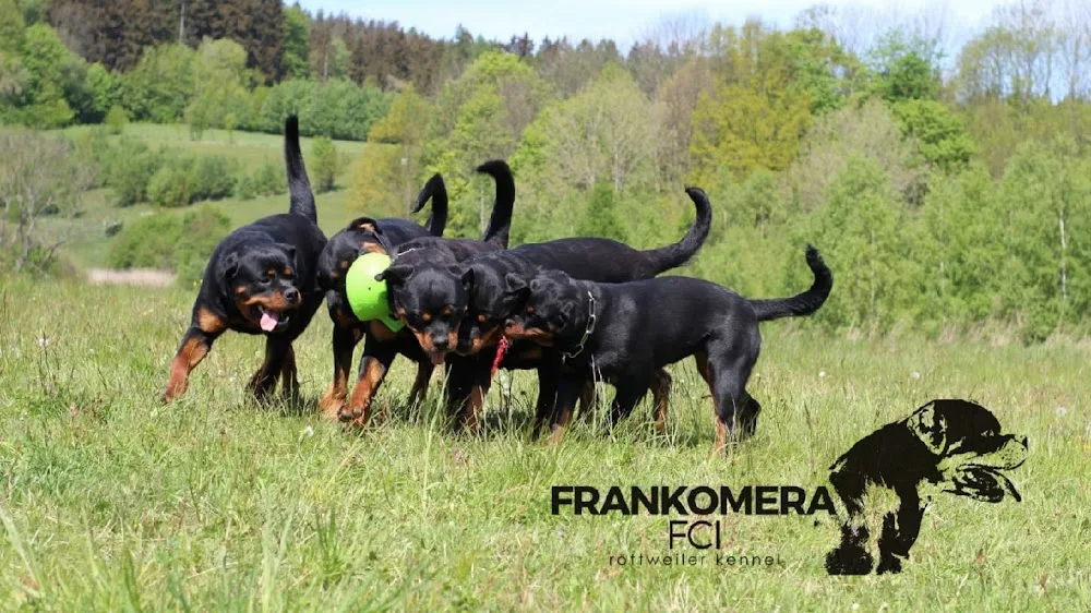 Frankomera FCI - rottweiler kennel - Rychnov nad Kněžnou pet otel
