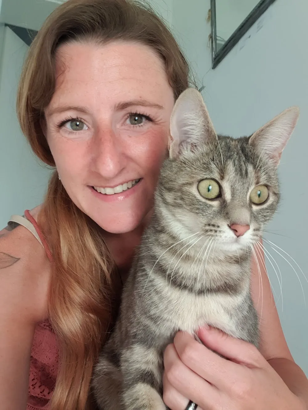 Catsitting Saarland - Mobile Katzenbetreuung - Tanja Hansen - Saarland pet otel görseli 3