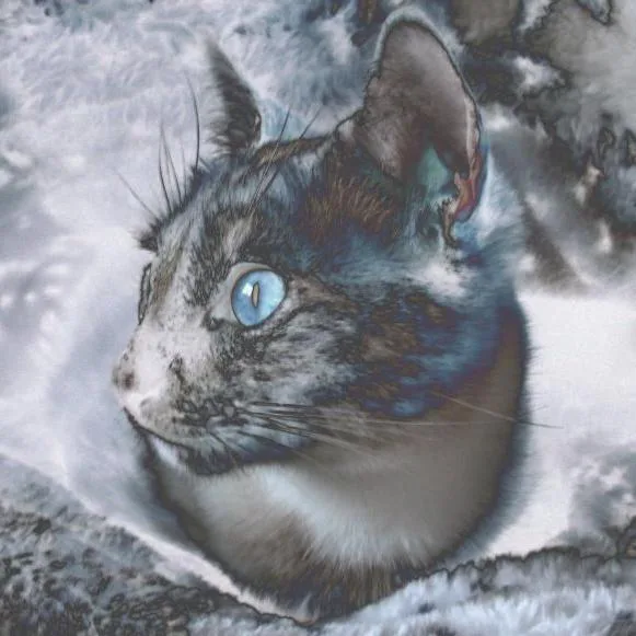 Catsu Catsitting & more Susanne Houy Mobile Katzenbetreuung Zertifizierte Ernährungsberatung für Katzen Haltungsberatung - Saarland pet otel görseli 3