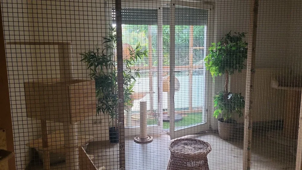 Katzenpension und Betreuung Zuhause - Saarland pet otel