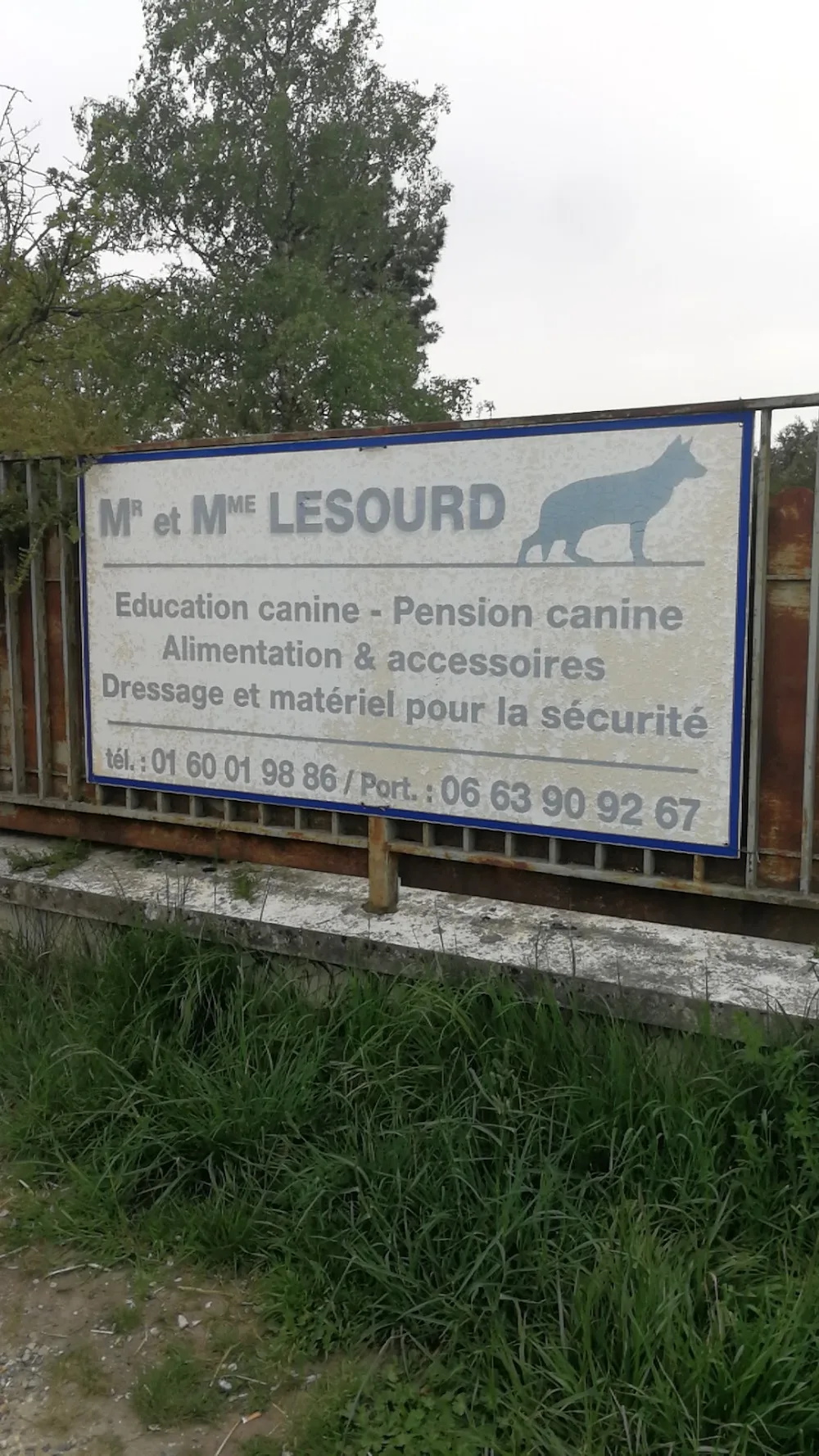 Centre canin pension canine - Saint-Barthélemy pet otel