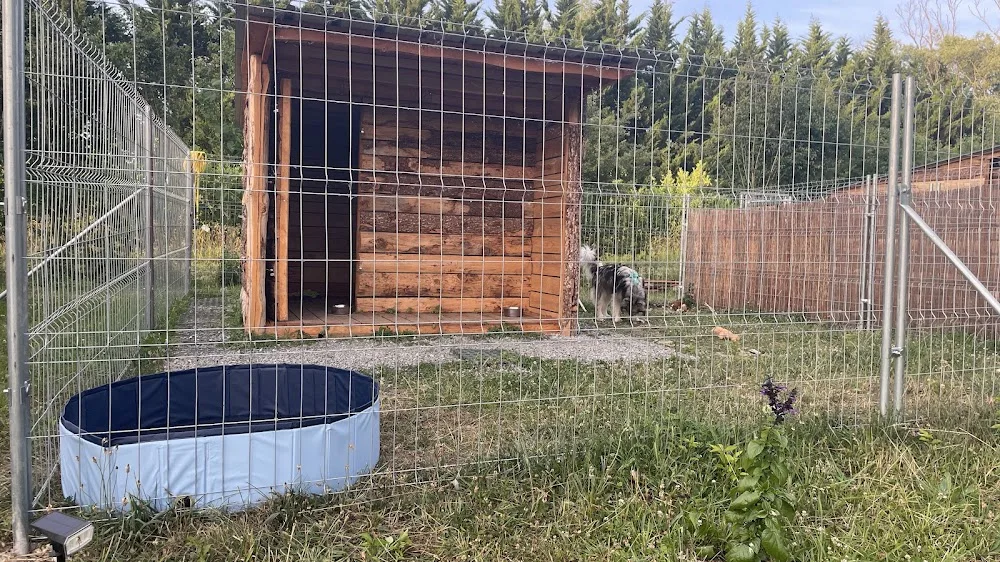 Gwenn&Cie- La Colo’ des Animaux- Pension Canine & Nac - Saint-Barthélemy pet otel görseli 2