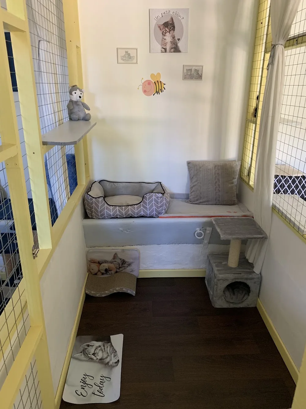 La Pension de Chipie - Saint-Barthélemy pet otel görseli 3