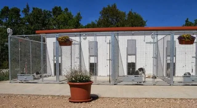Pension - Toilettage Canin - Saint Pierre and Miquelon pet otel