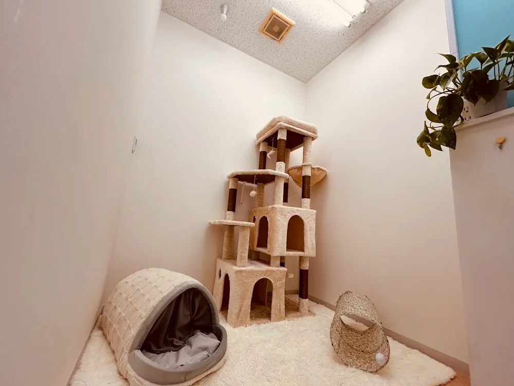 Pet Hotel le'ale'a(ペットホテル レアレア) - Saitama pet otel görseli 3