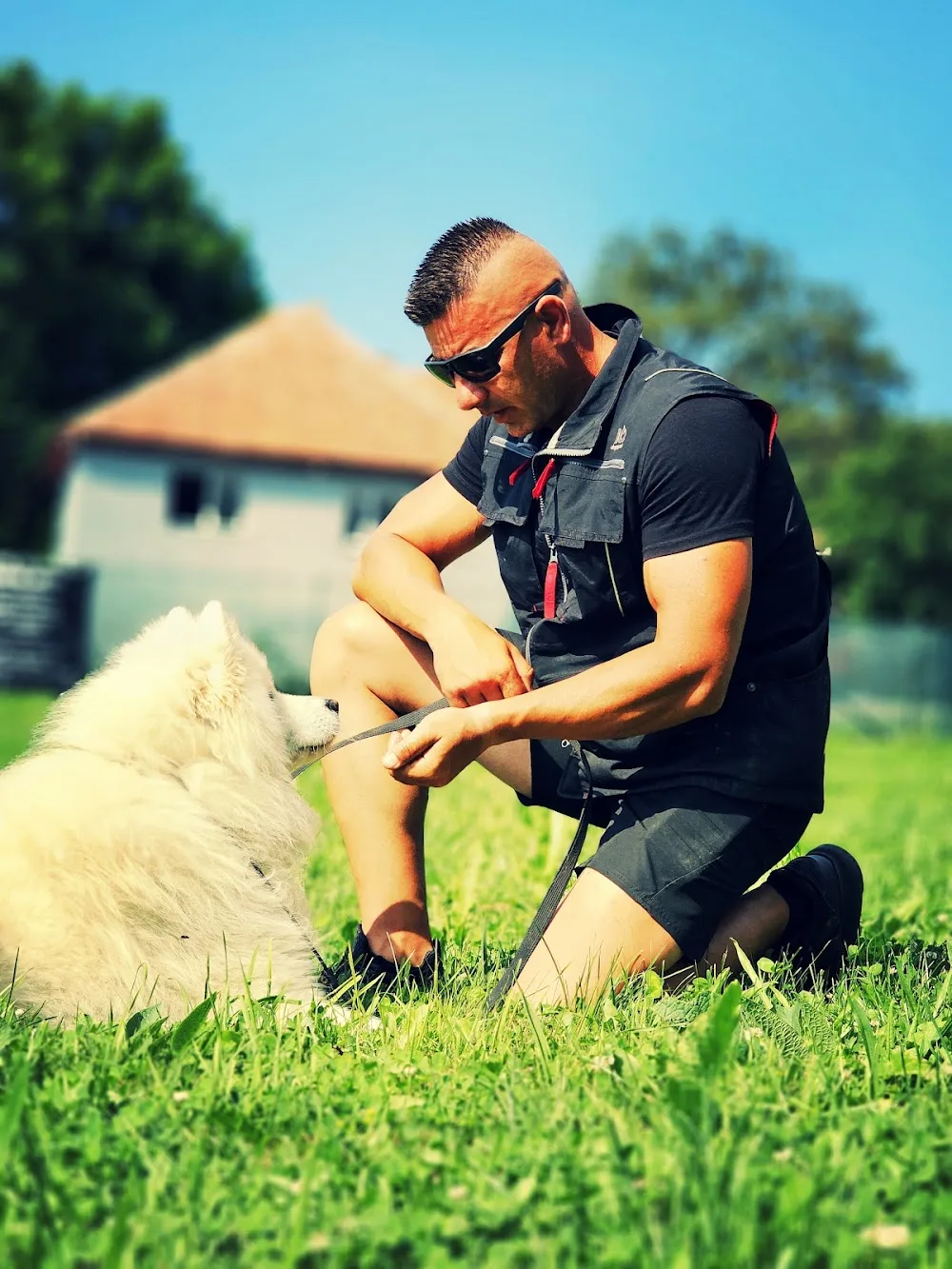 Dog House Aripel - Sălaj pet otel görseli 3