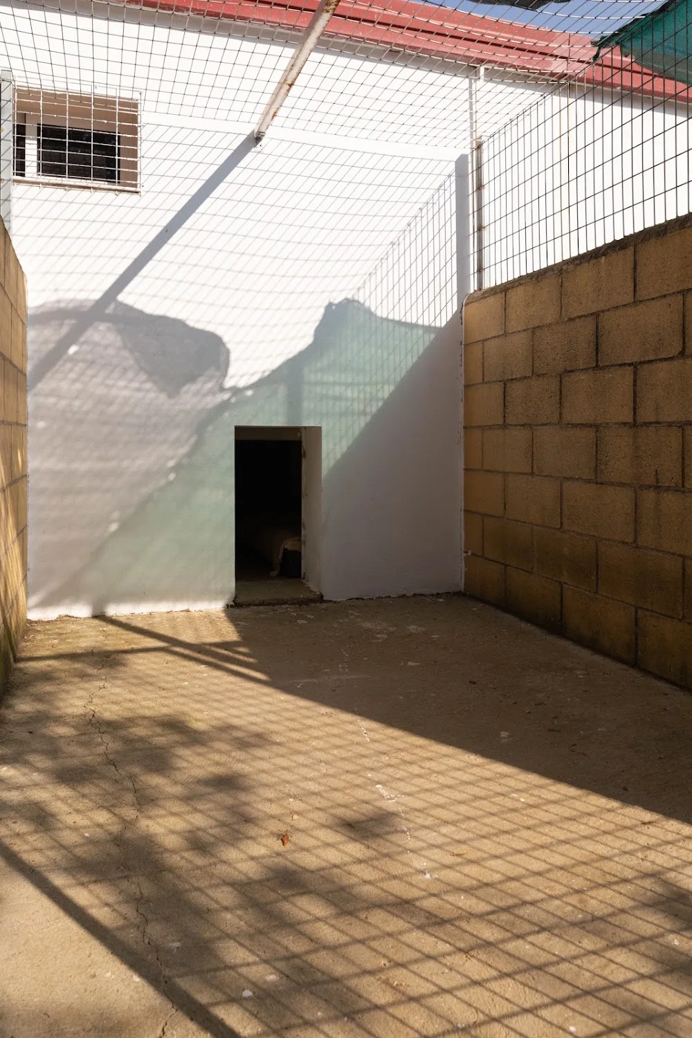 RESIDENCIA CANINA Y FELINA FUNDACIÓN LUNA - Salamanca pet otel