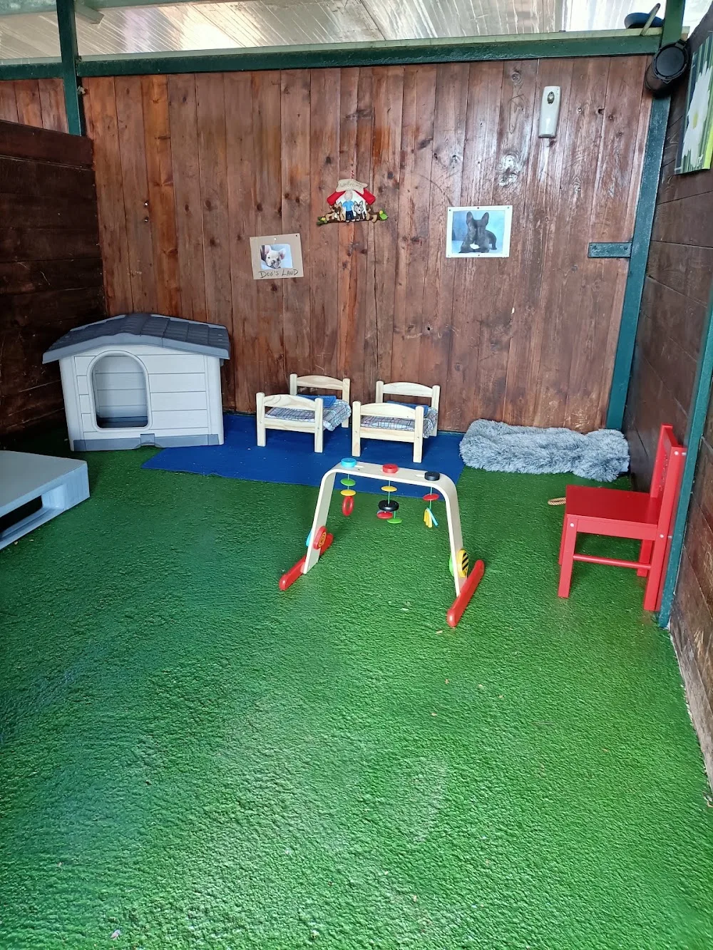 Accudimento Cani H 24 "Dog's Land" - Salerno pet otel