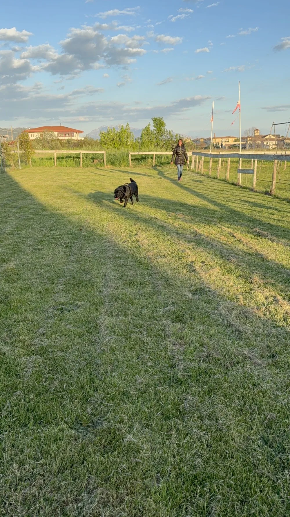 Accudimento Cani H 24 "Dog's Land" - Salerno pet otel görseli 3