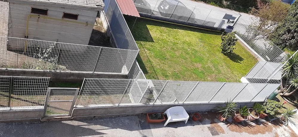 Animal Hotel - Salerno pet otel görseli 3