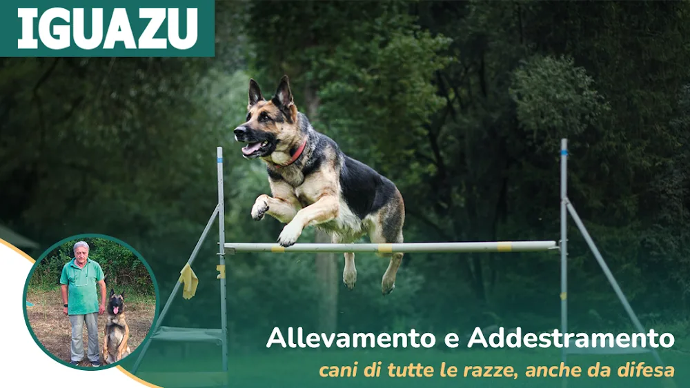 Iguazu Cremazione Animali, Addestramento e Pensione per Cani - Salerno pet otel görseli 4