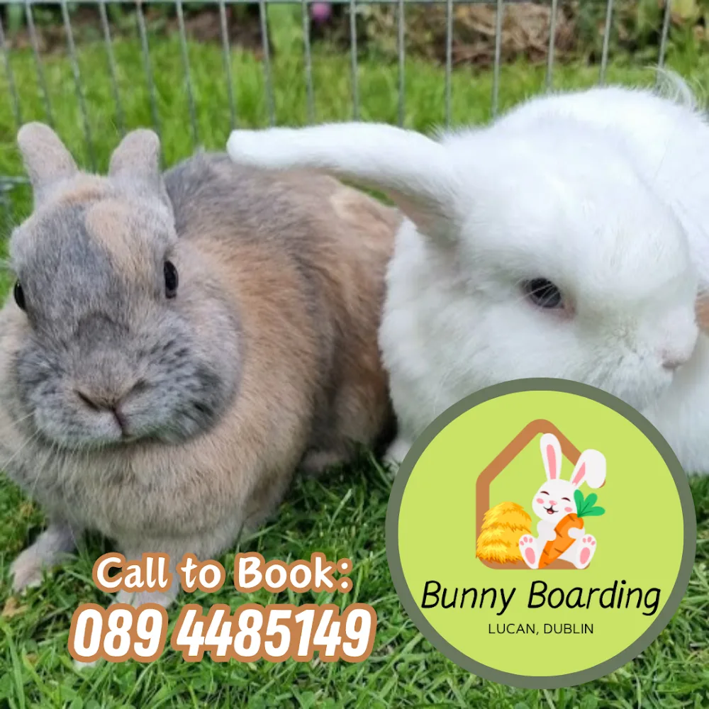 Bunny Boarding Retreat - Salzburg pet otel