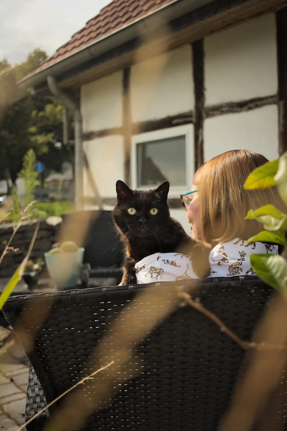 Catsuite Katzenpension - Laura Foresta - Salzwedel pet otel görseli 2