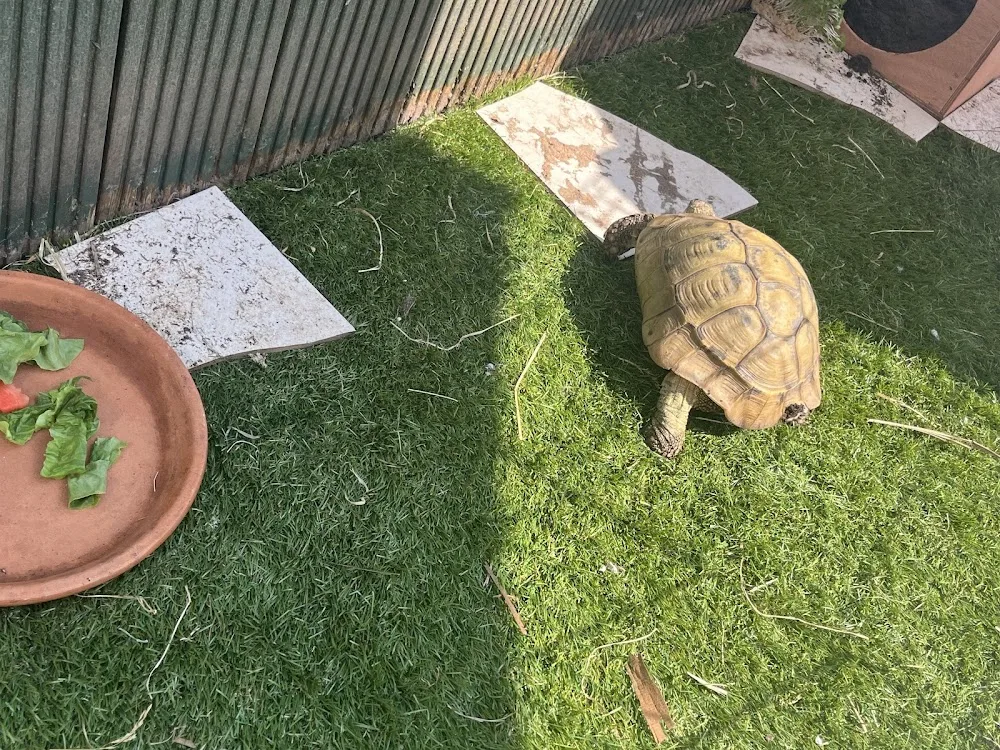 Happy Hoppers Pet Boarding & Care - Sandwell pet otel görseli 3