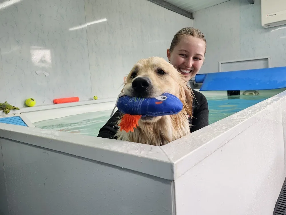 K9 Core Vet Physio & Hydro Centre & Boarding Kennels - Sandwell pet otel görseli 3