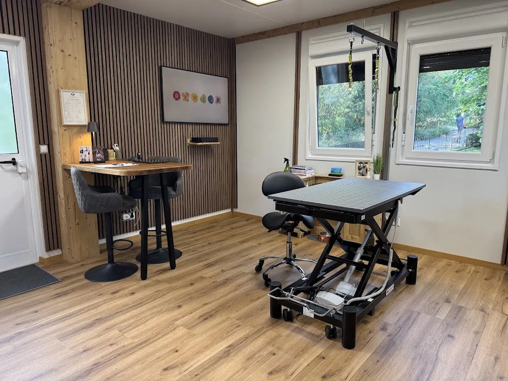 Hundefriseur Tauber - Sankt Lorenzen im Mürztal pet otel görseli 3