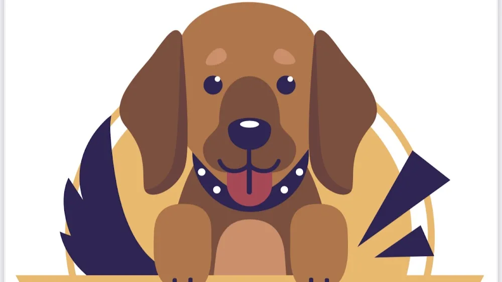 Şanslı Köpek Oteli - Istanbul pet otel görseli 2