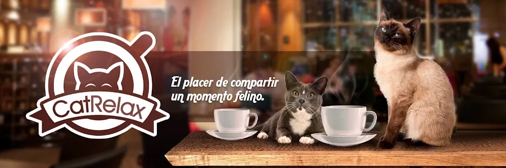 Cat Relax (reserva previa necesaria) - Sant Vicent del Raspeig / San Vicente del Raspeig pet otel