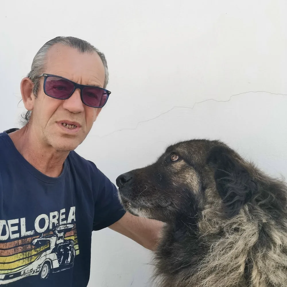 HOCIKYTO - Sant Vicent del Raspeig / San Vicente del Raspeig pet otel görseli 4