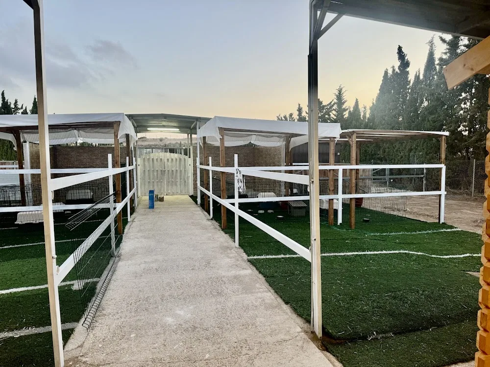 Hotel Mascotas Peludetes San Vicente del Raspeig - Sant Vicent del Raspeig / San Vicente del Raspeig pet otel görseli 3
