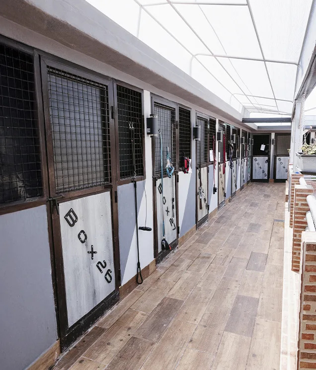 KanyKat - Sant Vicent del Raspeig / San Vicente del Raspeig pet otel görseli 5