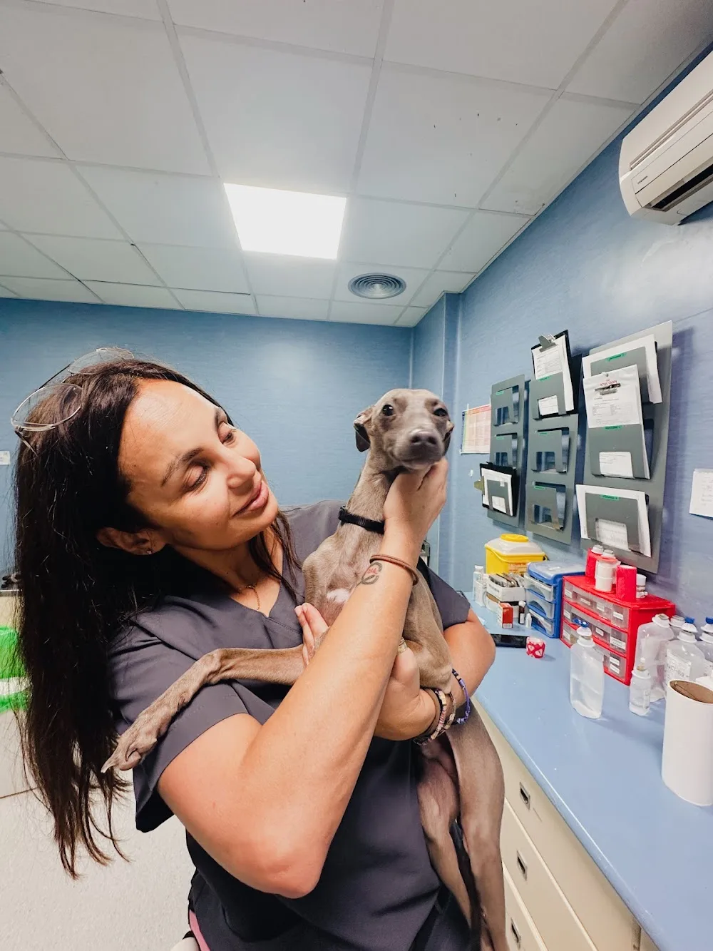 Evidensia Majuelos-Hospital Veterinario - Santa Cruz de Tenerife pet otel